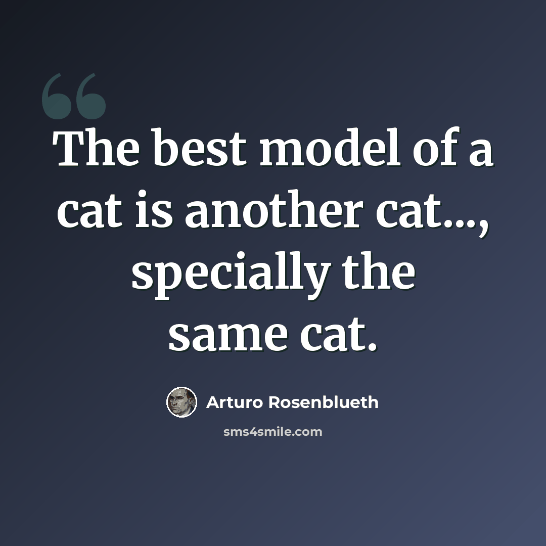 “The best model of a cat is another cat..., specially the same cat.” quote by Arturo Rosenblueth
