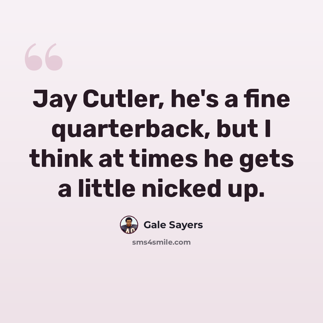 “Jay Cutler, he's a fine quarterback, but I think at times he gets a little nicked up.” quote by Gale Sayers