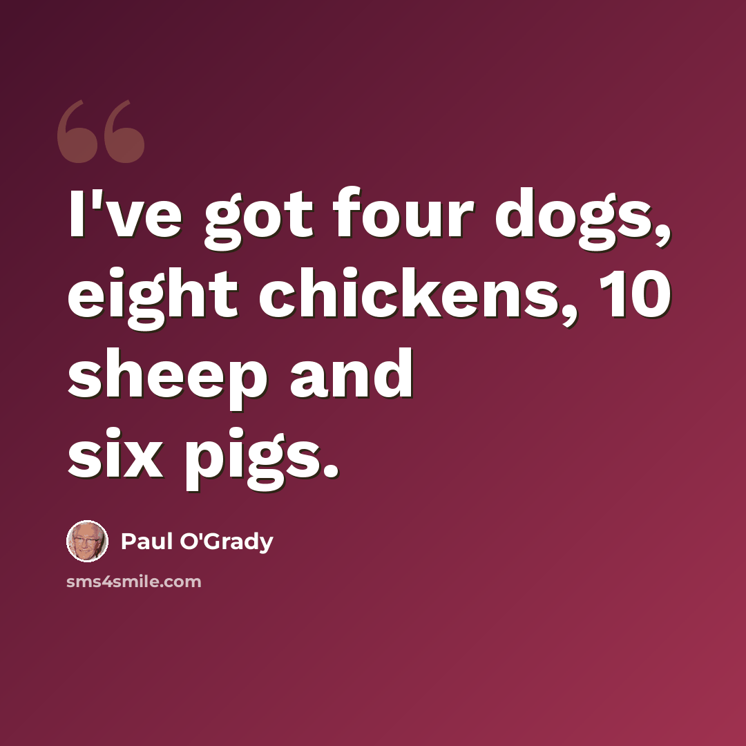 “I've got four dogs, eight chickens, 10 sheep and six pigs.” quote by Paul O'Grady