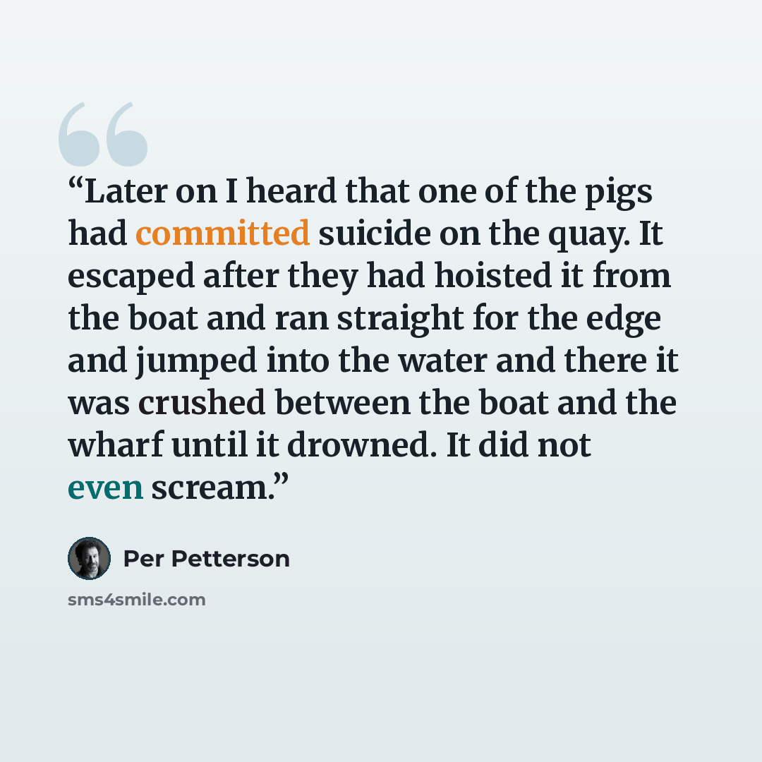“Later on I heard that one of the pigs had committed suicide on the quay. It escaped after they had hoisted it from the boat and ran straight for the edge and jumped into the water and there it was crushed between the boat and the wharf until it drowned. It did not even scream.” quote by Per Petterson