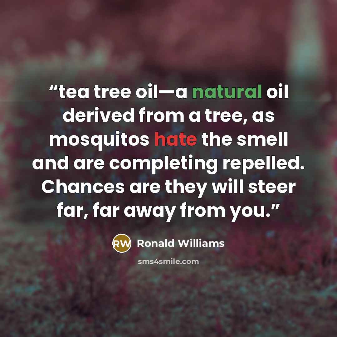 “tea tree oil—a natural oil derived from a tree, as mosquitos hate the smell and are completing repelled. Chances are they will steer far, far away from you.” quote by Ronald Williams