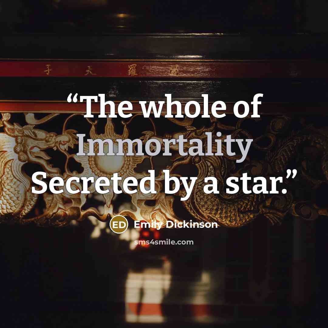 “The whole of Immortality Secreted by a star.” quote by Emily Dickinson