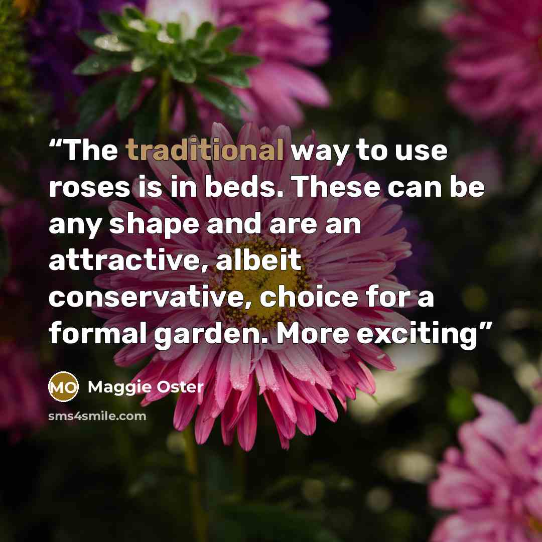 “The traditional way to use roses is in beds. These can be any shape and are an attractive, albeit conservative, choice for a formal garden. More exciting” quote by Maggie Oster