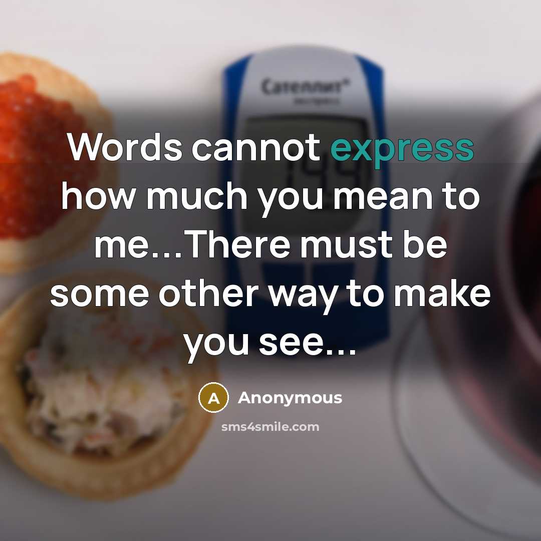“Words cannot express how much you mean to me...There must be some other way to make you see...” quote by Anonymous