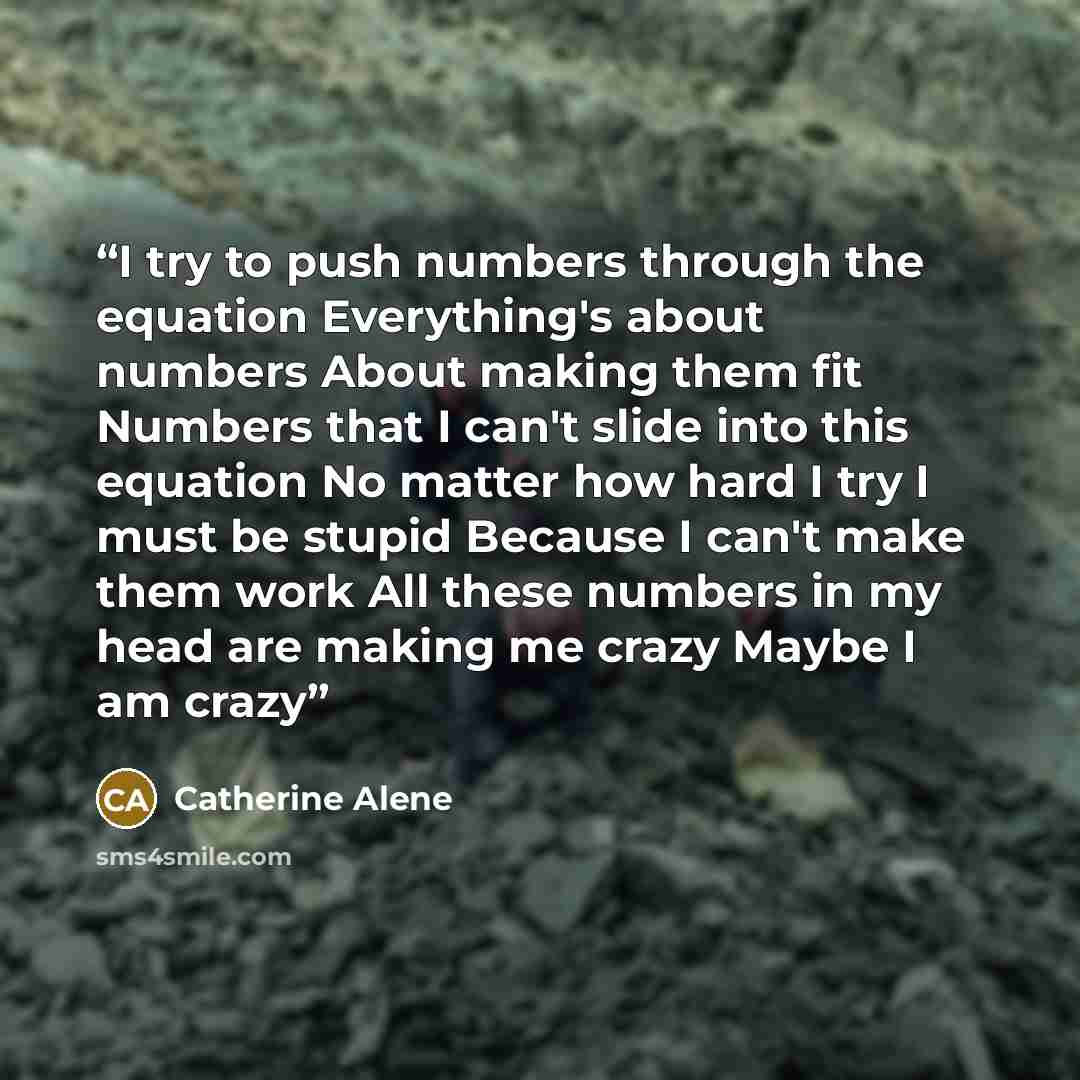 “I try to push numbers through the equation Everything's about numbers About making them fit Numbers that I can't slide into this equation No matter how hard I try I must be stupid Because I can't make them work All these numbers in my head are making me crazy Maybe I am crazy” quote by Catherine Alene