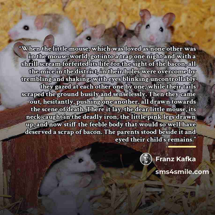 “When the little mouse, which was loved as none other was in the mouse-world, got into a trap one night and with a shrill scream forfeited its life for the sight of the bacon, all the mice in the district, in their holes were overcome by trembling and shaking; with eyes blinking uncontrollably they…” quote by Franz Kafka