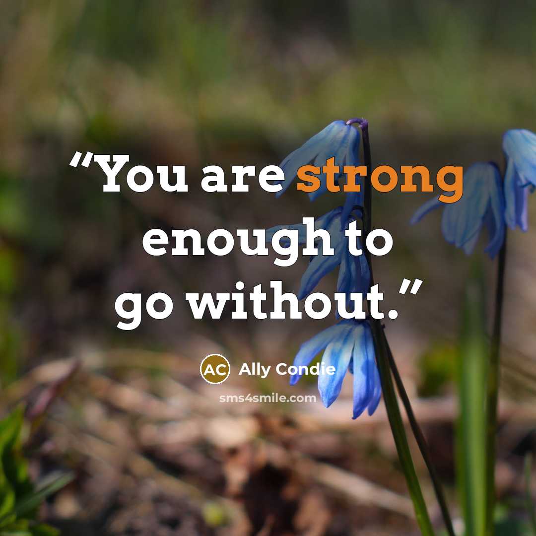 “You are strong enough to go without.” quote by Ally Condie