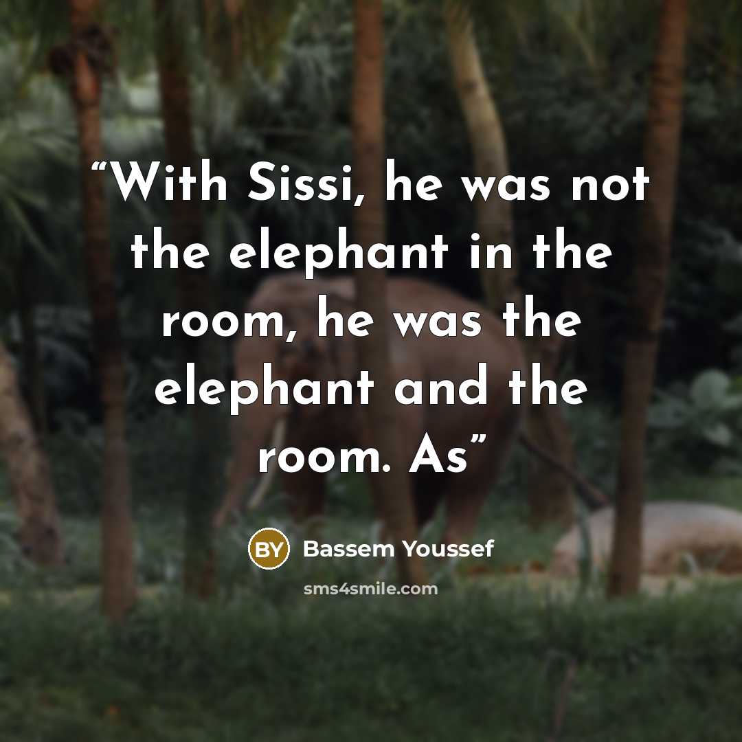 “With Sissi, he was not the elephant in the room, he was the elephant and the room. As” quote by Bassem Youssef