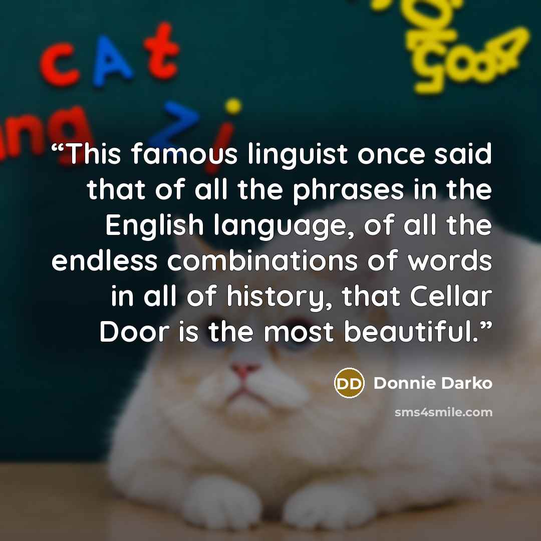 “This famous linguist once said that of all the phrases in the English language, of all the endless combinations of words in all of history, that Cellar Door is the most beautiful.” quote by Donnie Darko