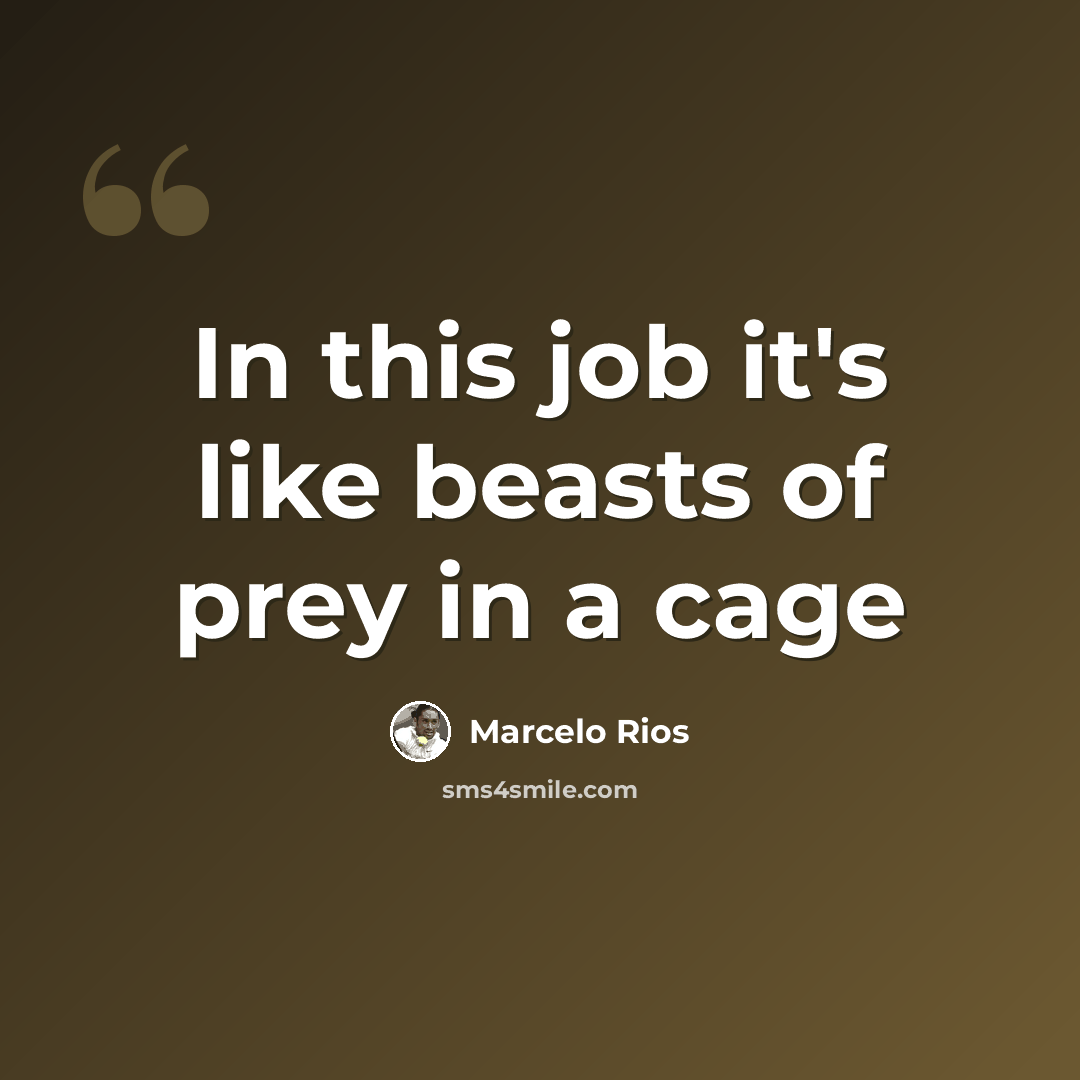 “In this job it's like beasts of prey in a cage” quote by Marcelo Rios