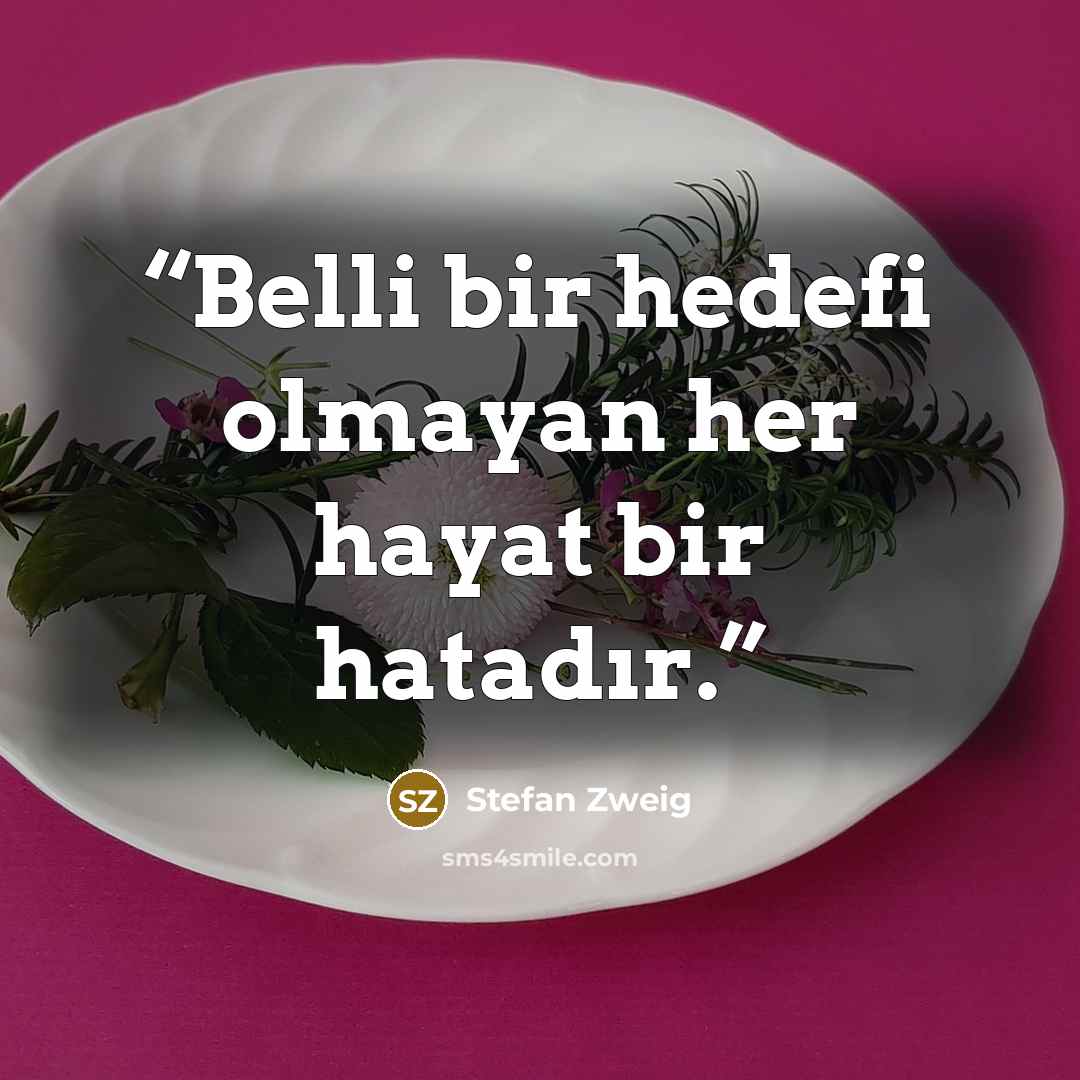 “Belli bir hedefi olmayan her hayat bir hatadır.” quote by Stefan Zweig