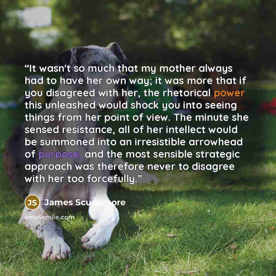 “It wasn't so much that my mother always had to have her own way; it was more that if you disagreed with her, the rhetorical power this unleashed would shock you into seeing things from her point of view. The minute she sensed resistance, all of her intellect would be summoned into an irresistible…” quote by James Scudamore