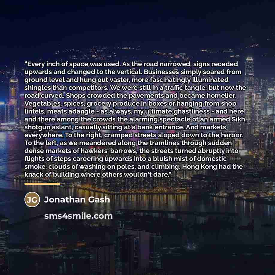 “Every inch of space was used. As the road narrowed, signs receded upwards and changed to the vertical. Businesses simply soared from ground level and hung out vaster, more fascinatingly illuminated shingles than competitors. We were still in a traffic tangle, but now the road curved. Shops crowded…” quote by Jonathan Gash