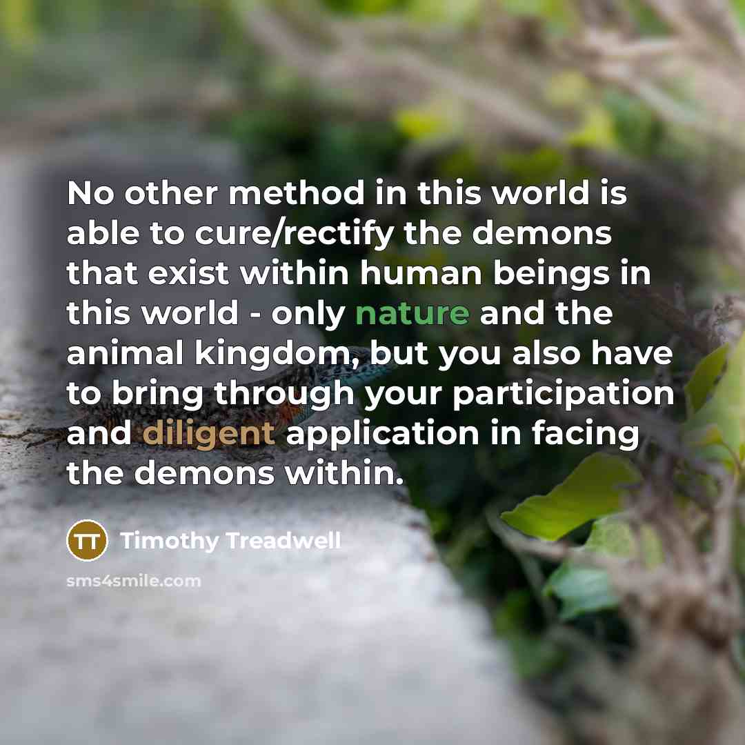 “No other method in this world is able to cure/rectify the demons that exist within human beings in this world - only nature and the animal kingdom, but you also have to bring through your participation and diligent application in facing the demons within.” quote by Timothy Treadwell