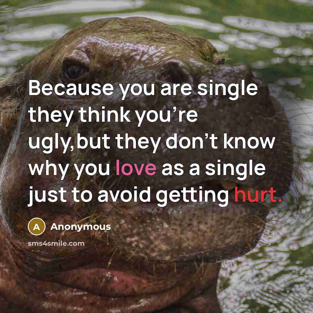 “Because you are single they think you're ugly,but they don't know why you love as a single just to avoid getting hurt.” quote by Anonymous