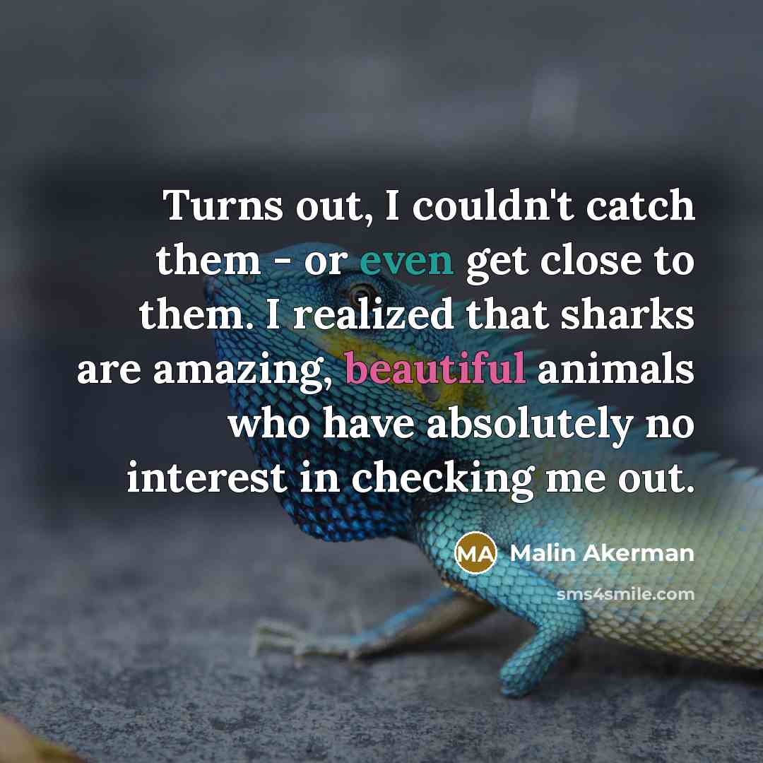 “Turns out, I couldn't catch them - or even get close to them. I realized that sharks are amazing, beautiful animals who have absolutely no interest in checking me out.” quote by Malin Akerman