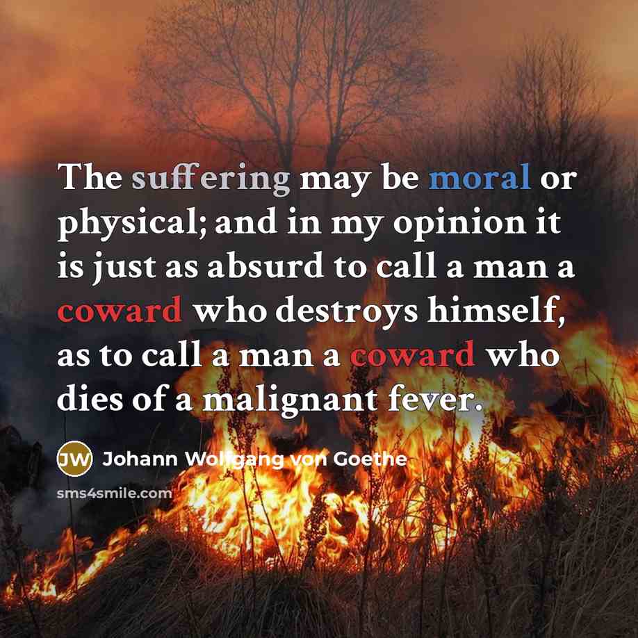 “The suffering may be moral or physical; and in my opinion it is just as absurd to call a man a coward who destroys himself, as to call a man a coward who dies of a malignant fever.” quote by Johann Wolfgang von Goethe