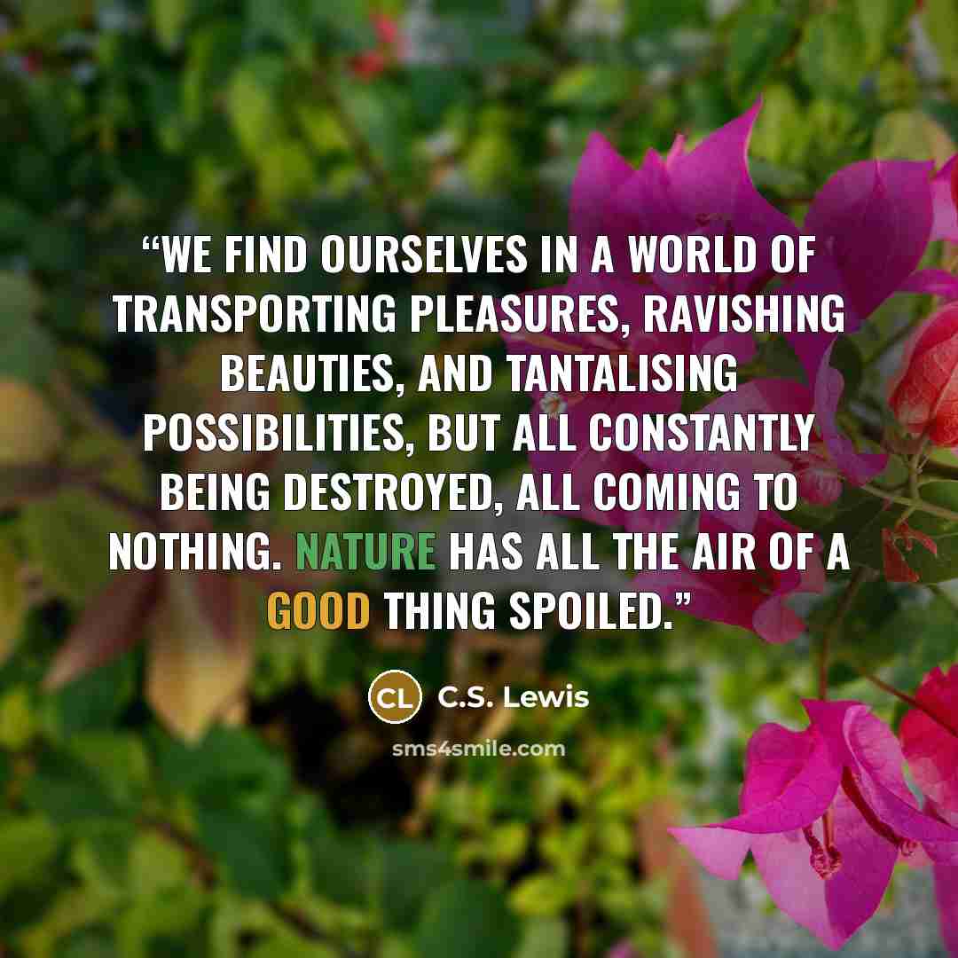 “We find ourselves in a world of transporting pleasures, ravishing beauties, and tantalising possibilities, but all constantly being destroyed, all coming to nothing. Nature has all the air of a good thing spoiled.” quote by C.S. Lewis