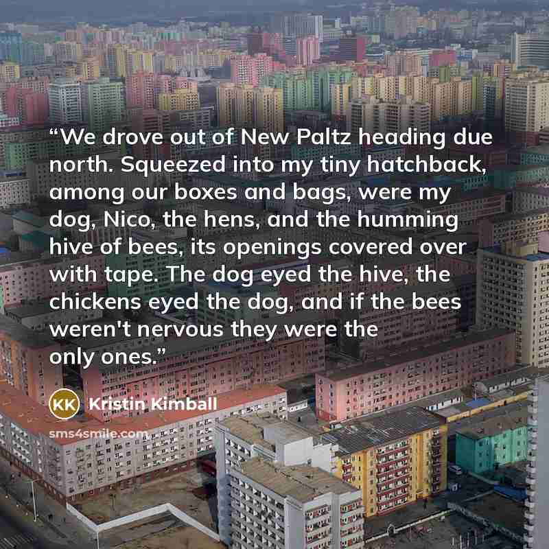 “We drove out of New Paltz heading due north. Squeezed into my tiny hatchback, among our boxes and bags, were my dog, Nico, the hens, and the humming hive of bees, its openings covered over with tape. The dog eyed the hive, the chickens eyed the dog, and if the bees weren't nervous they were the…” quote by Kristin Kimball
