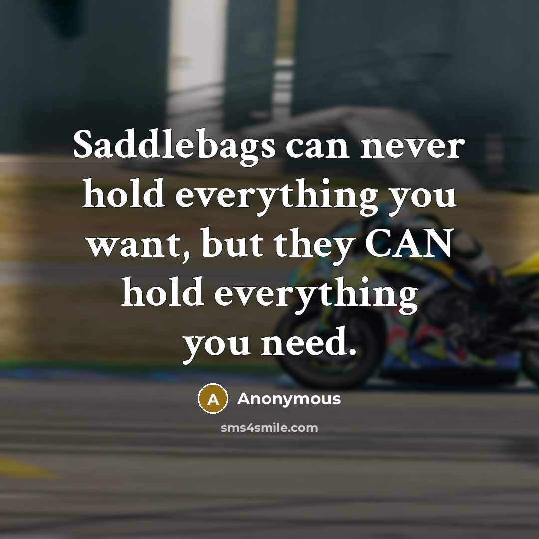 “Saddlebags can never hold everything you want, but they CAN hold everything you need.” quote by Anonymous