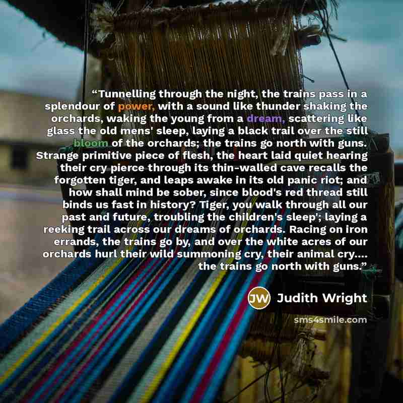 “Tunnelling through the night, the trains pass in a splendour of power, with a sound like thunder shaking the orchards, waking the young from a dream, scattering like glass the old mens' sleep, laying a black trail over the still bloom of the orchards; the trains go north with guns. Strange…” quote by Judith Wright