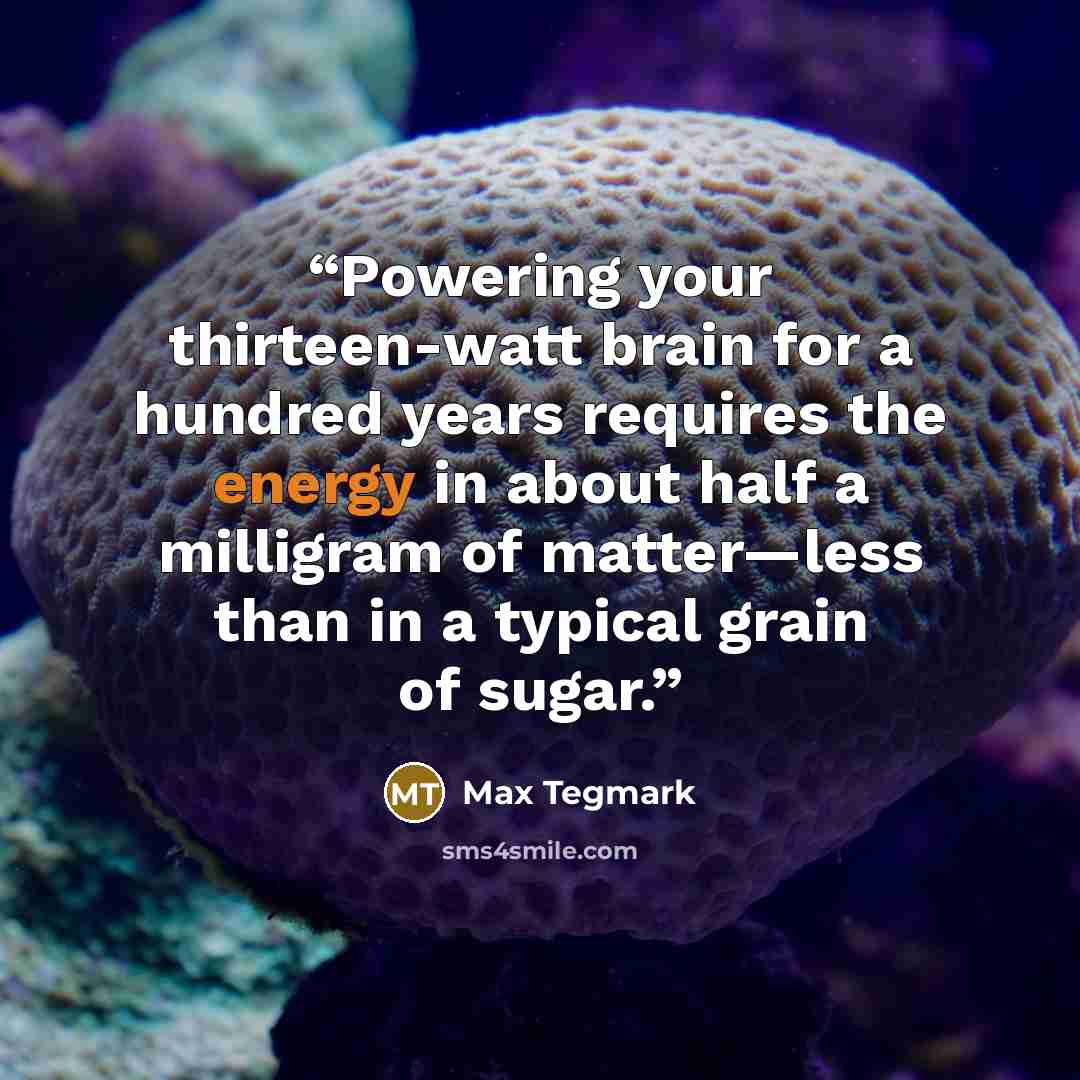 “Powering your thirteen-watt brain for a hundred years requires the energy in about half a milligram of matter—less than in a typical grain of sugar.” quote by Max Tegmark