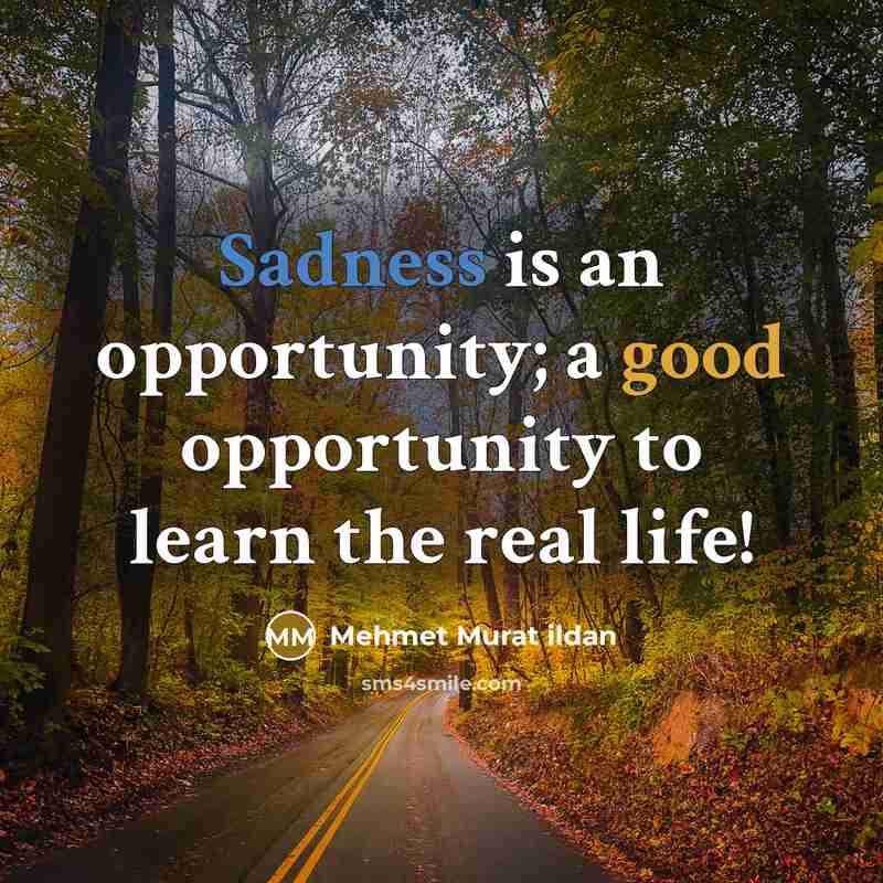 “Sadness is an opportunity; a good opportunity to learn the real life!” quote by Mehmet Murat Ildan