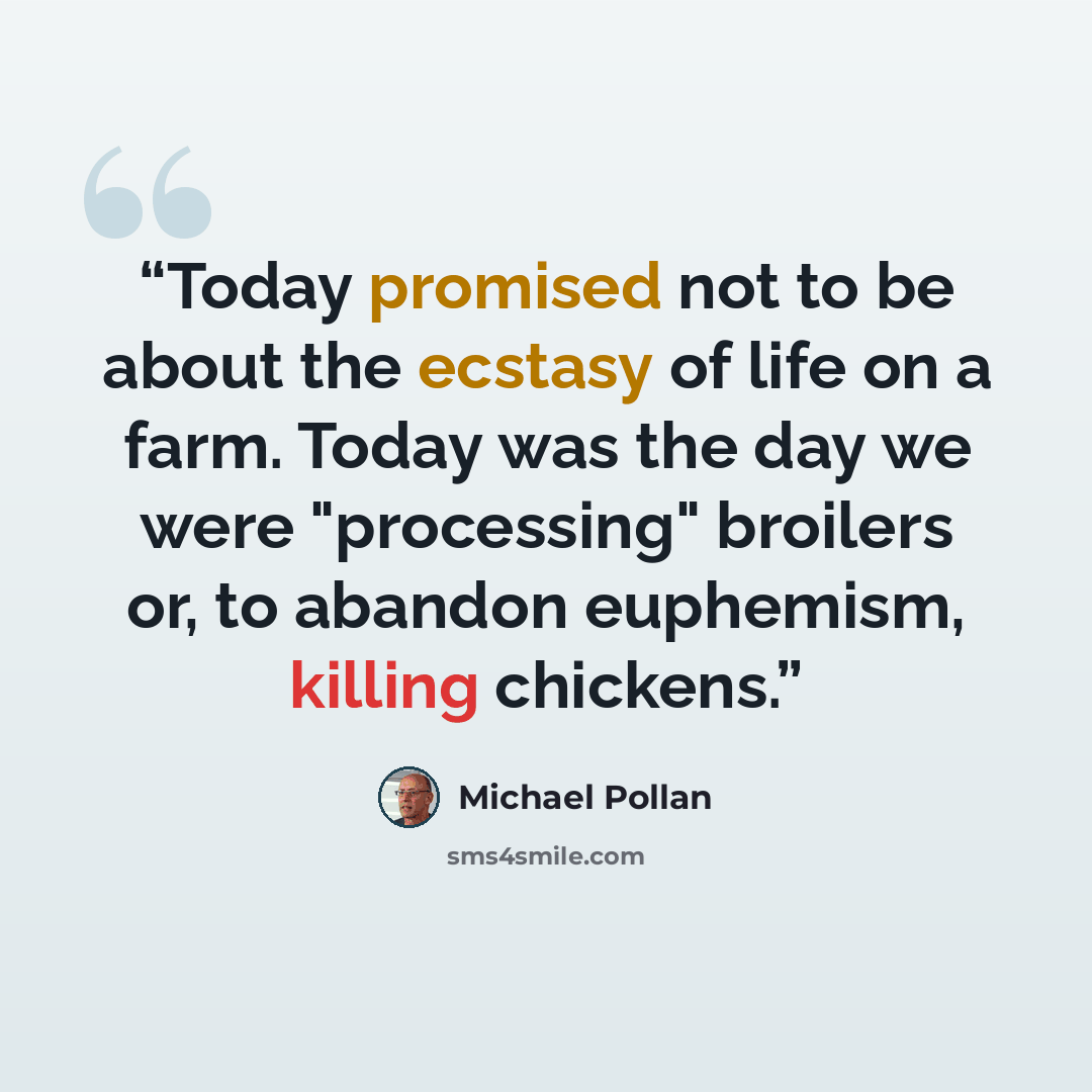 “Today promised not to be about the ecstasy of life on a farm. Today was the day we were "processing" broilers or, to abandon euphemism, killing chickens.” quote by Michael Pollan