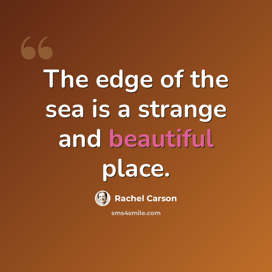“The edge of the sea is a strange and beautiful place.” quote by Rachel Carson