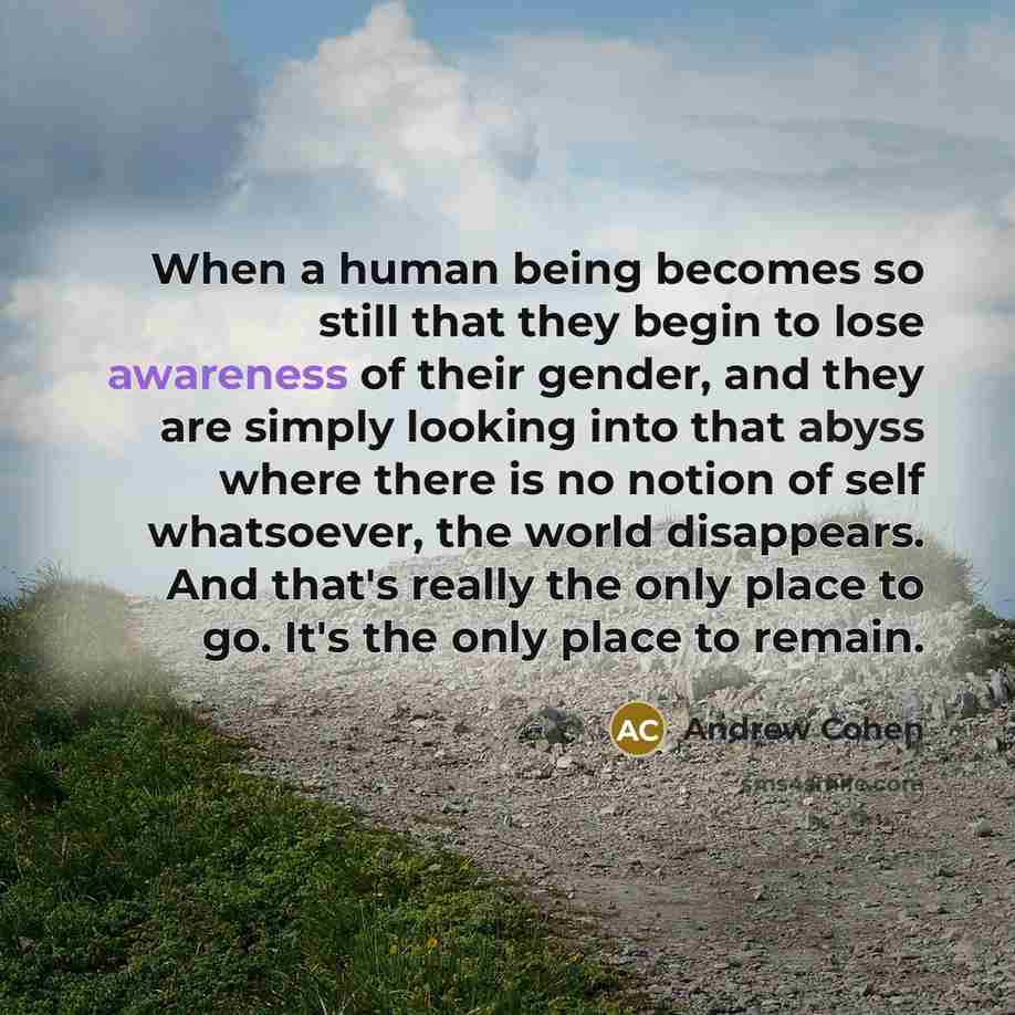 “When a human being becomes so still that they begin to lose awareness of their gender, and they are simply looking into that abyss where there is no notion of self whatsoever, the world disappears. And that's really the only place to go. It's the only place to remain.” quote by Andrew Cohen