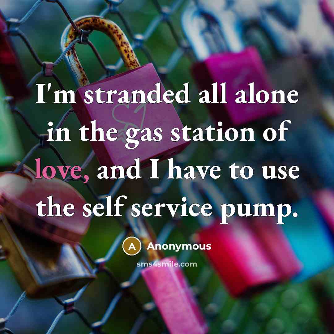 “I'm stranded all alone in the gas station of love, and I have to use the self service pump.” quote by Anonymous