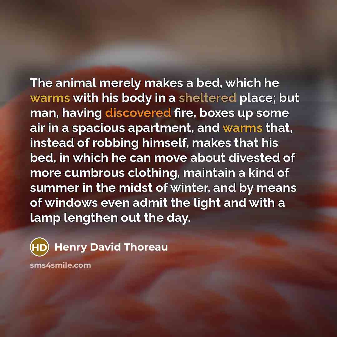 “The animal merely makes a bed, which he warms with his body in a sheltered place; but man, having discovered fire, boxes up some air in a spacious apartment, and warms that, instead of robbing himself, makes that his bed, in which he can move about divested of more cumbrous clothing, maintain a…” quote by Henry David Thoreau
