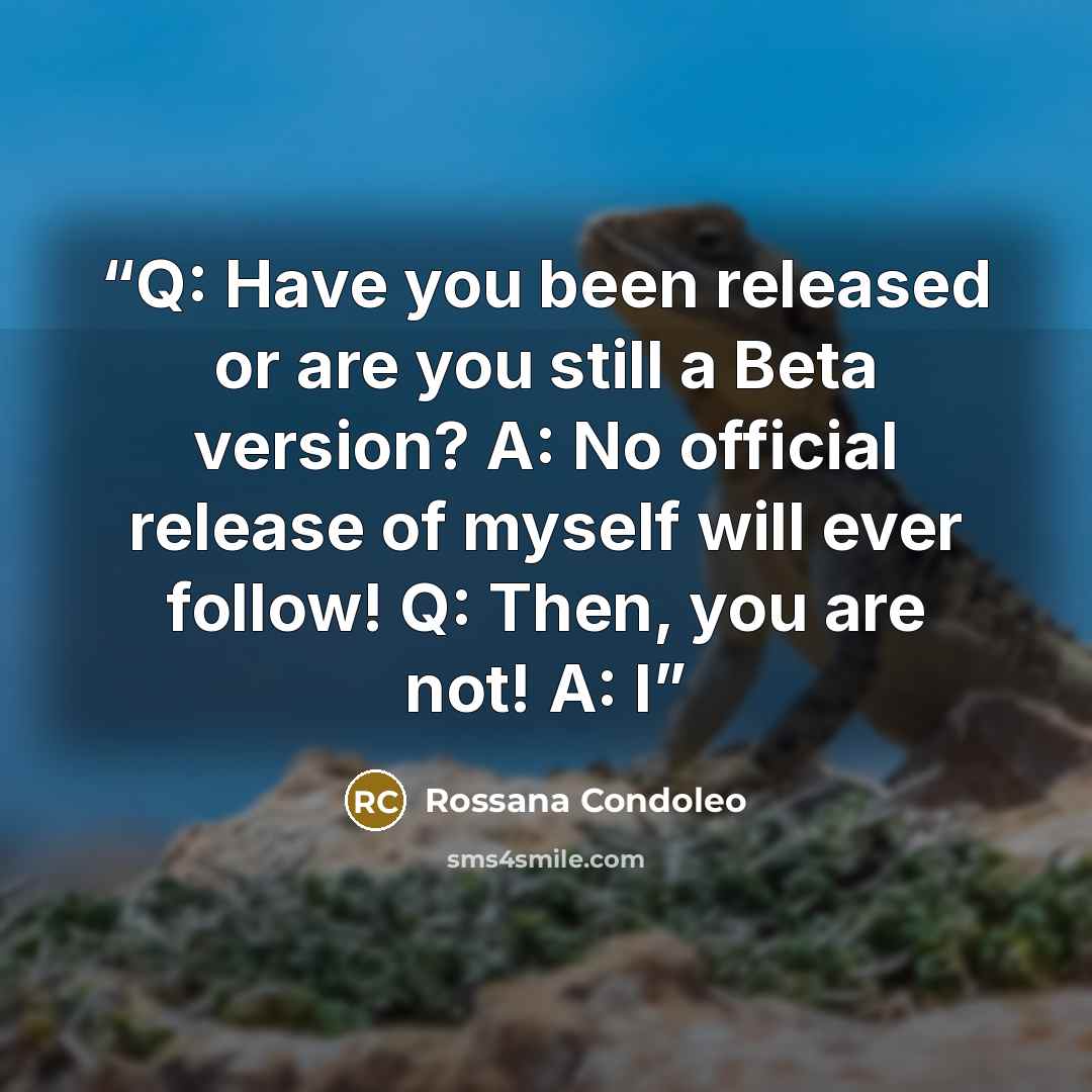 “Q: Have you been released or are you still a Beta version? A: No official release of myself will ever follow! Q: Then, you are not! A: I” quote by Rossana Condoleo