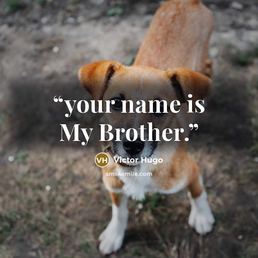 “your name is My Brother.” quote by Victor Hugo