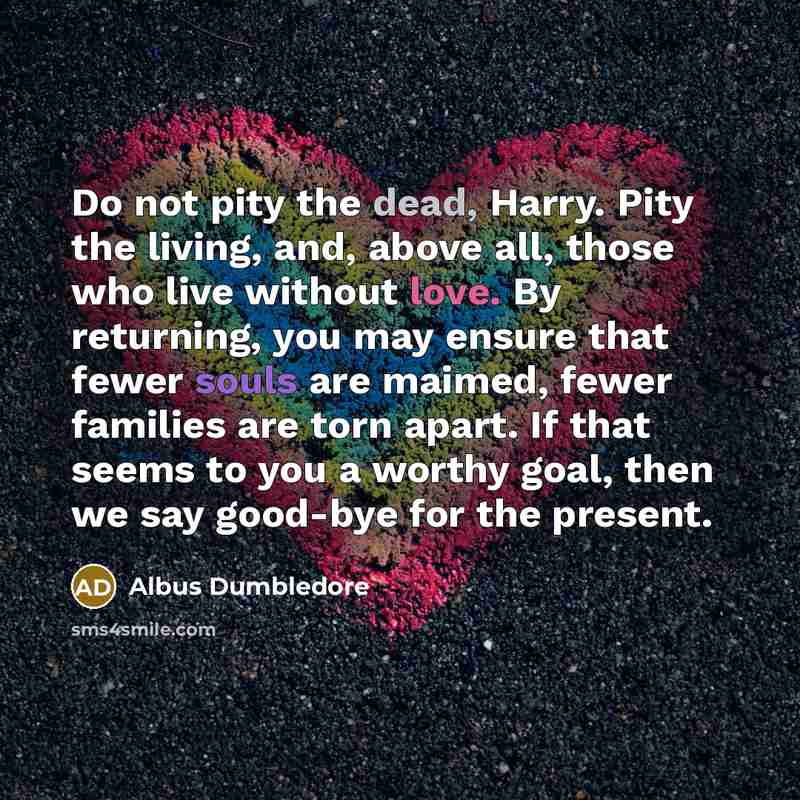 “Do not pity the dead, Harry. Pity the living, and, above all, those who live without love. By returning, you may ensure that fewer souls are maimed, fewer families are torn apart. If that seems to you a worthy goal, then we say good-bye for the present.” quote by Albus Dumbledore