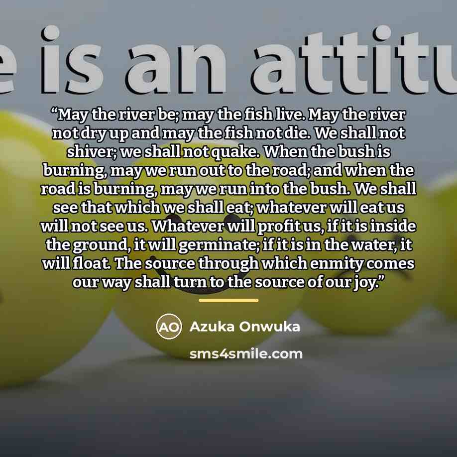 “May the river be; may the fish live. May the river not dry up and may the fish not die. We shall not shiver; we shall not quake. When the bush is burning, may we run out to the road; and when the road is burning, may we run into the bush. We shall see that which we shall eat; whatever will eat us…” quote by Azuka Onwuka