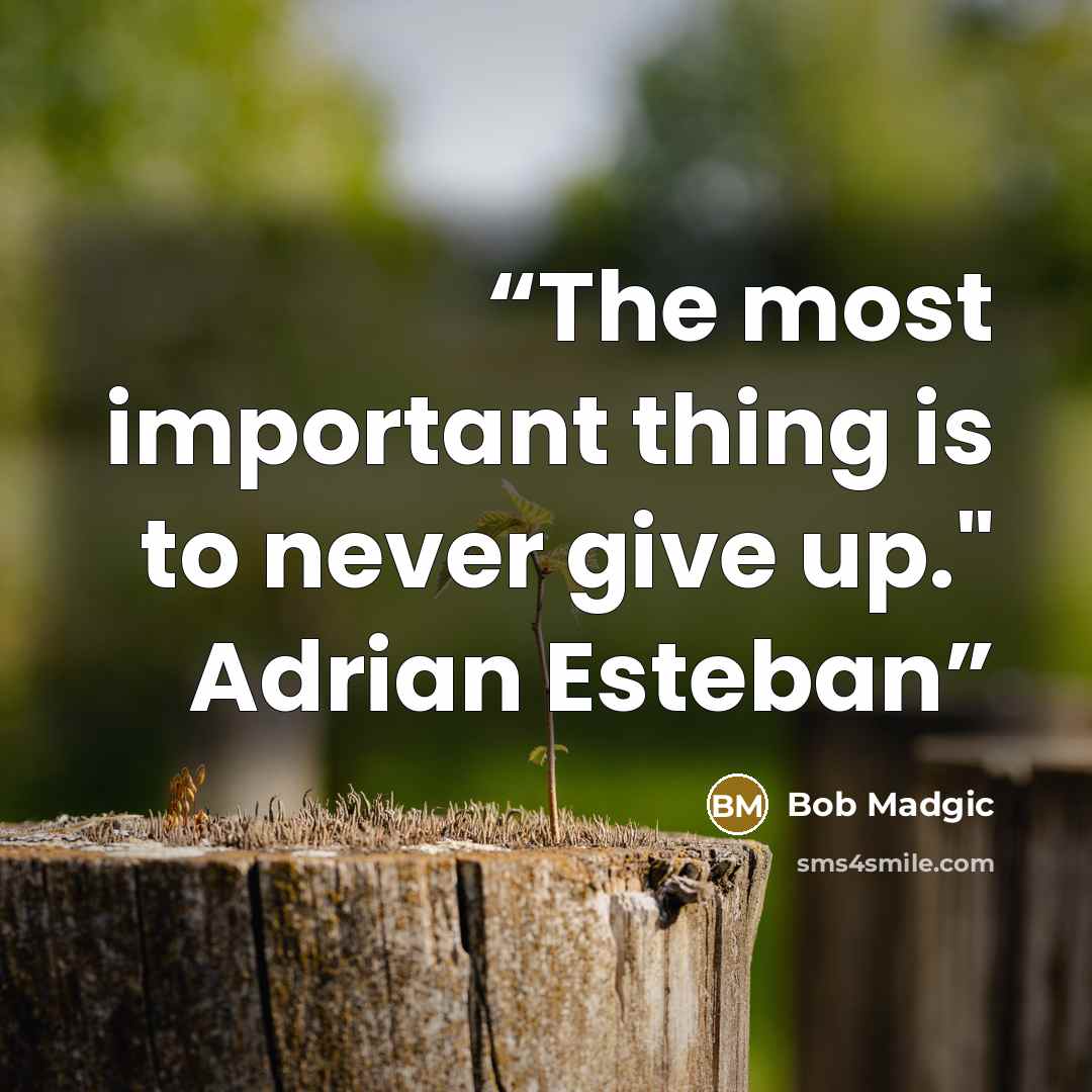 “The most important thing is to never give up." Adrian Esteban” quote by Bob Madgic