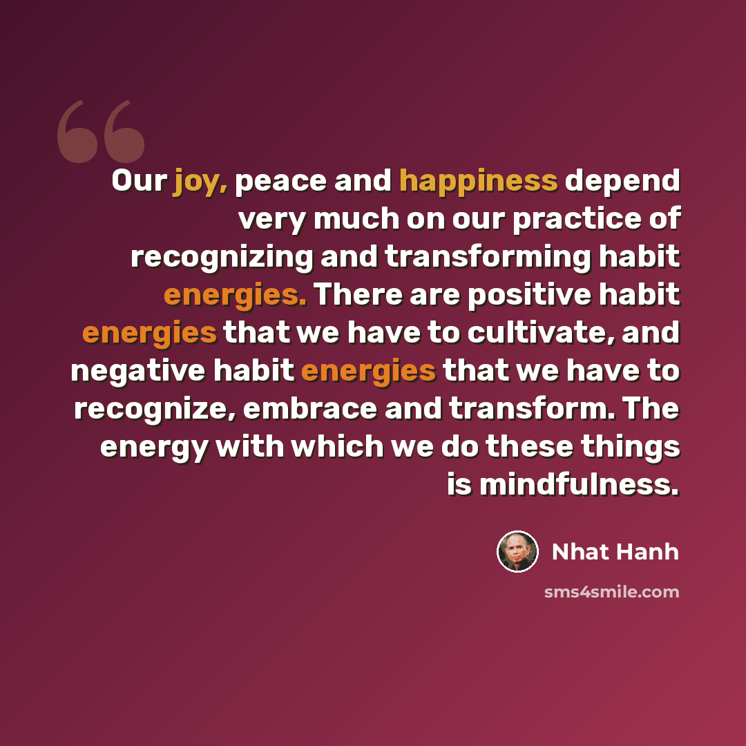“Our joy, peace and happiness depend very much on our practice of recognizing and transforming habit energies. There are positive habit energies that we have to cultivate, and negative habit energies that we have to recognize, embrace and transform. The energy with which we do these things is…” quote by Nhat Hanh