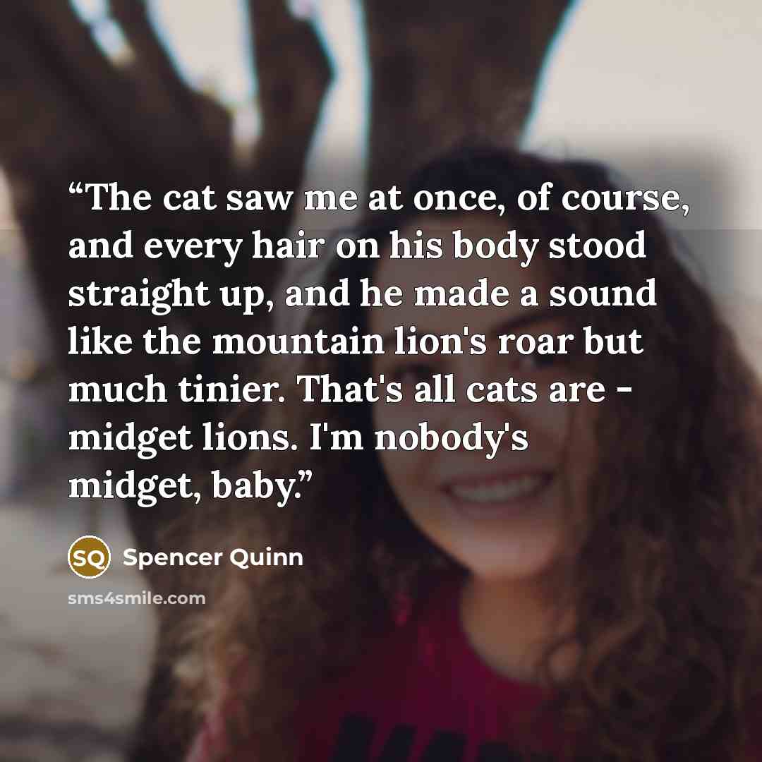 “The cat saw me at once, of course, and every hair on his body stood straight up, and he made a sound like the mountain lion's roar but much tinier. That's all cats are - midget lions. I'm nobody's midget, baby.” quote by Spencer Quinn