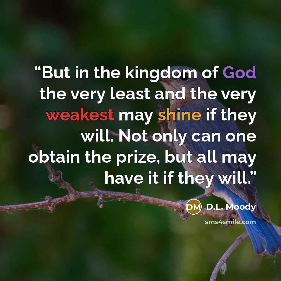 “But in the kingdom of God the very least and the very weakest may shine if they will. Not only can one obtain the prize, but all may have it if they will.” quote by D.L. Moody