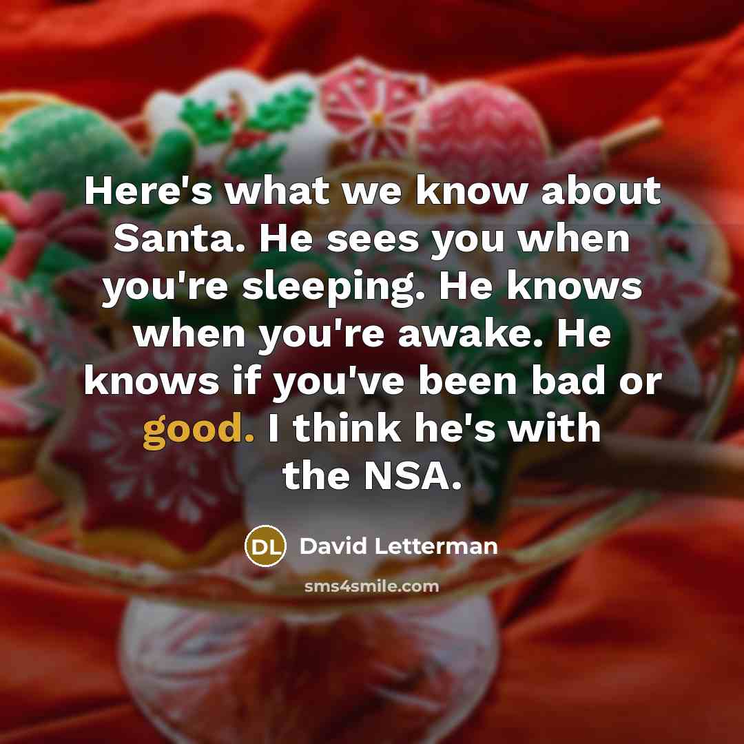 “Here's what we know about Santa. He sees you when you're sleeping. He knows when you're awake. He knows if you've been bad or good. I think he's with the NSA.” quote by David Letterman