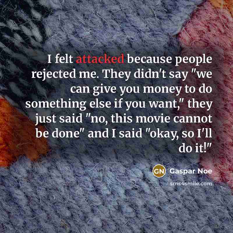“I felt attacked because people rejected me. They didn't say "we can give you money to do something else if you want," they just said "no, this movie cannot be done" and I said "okay, so I'll do it!"” quote by Gaspar Noe