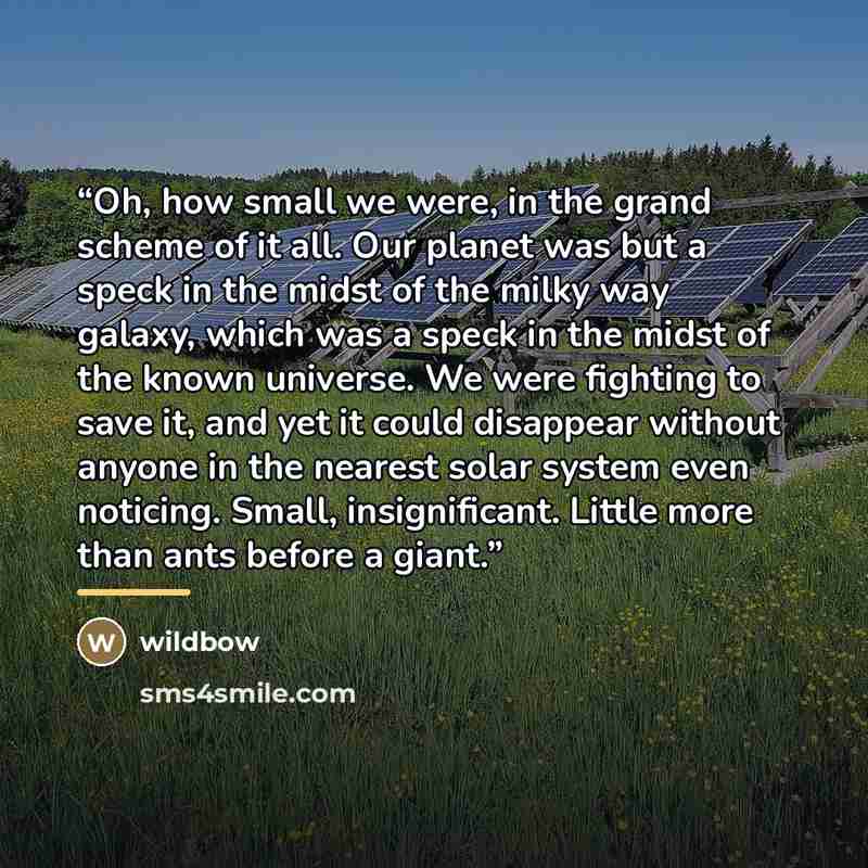 “Oh, how small we were, in the grand scheme of it all. Our planet was but a speck in the midst of the milky way galaxy, which was a speck in the midst of the known universe. We were fighting to save it, and yet it could disappear without anyone in the nearest solar system even noticing. Small…” quote by wildbow