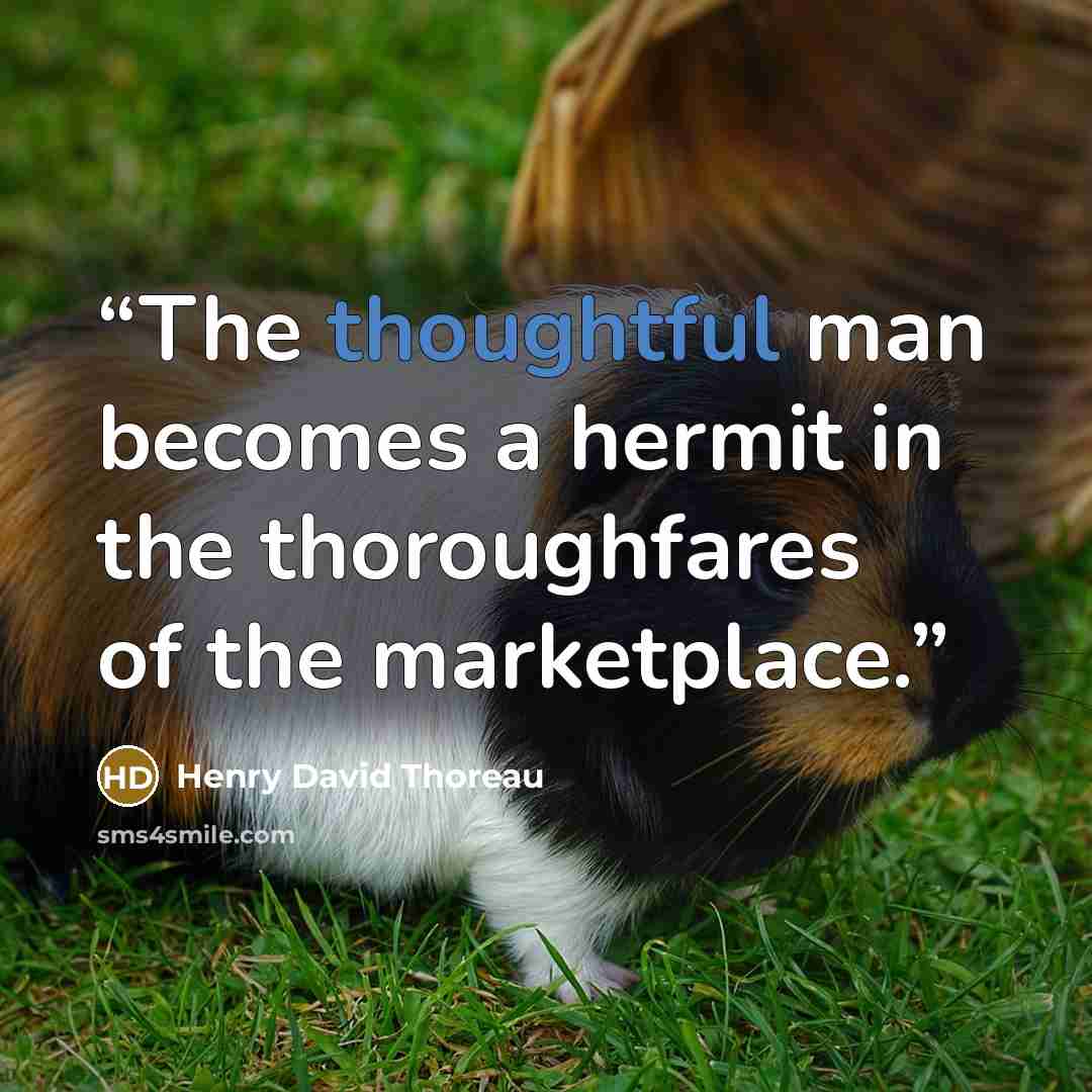 “The thoughtful man becomes a hermit in the thoroughfares of the marketplace.” quote by Henry David Thoreau