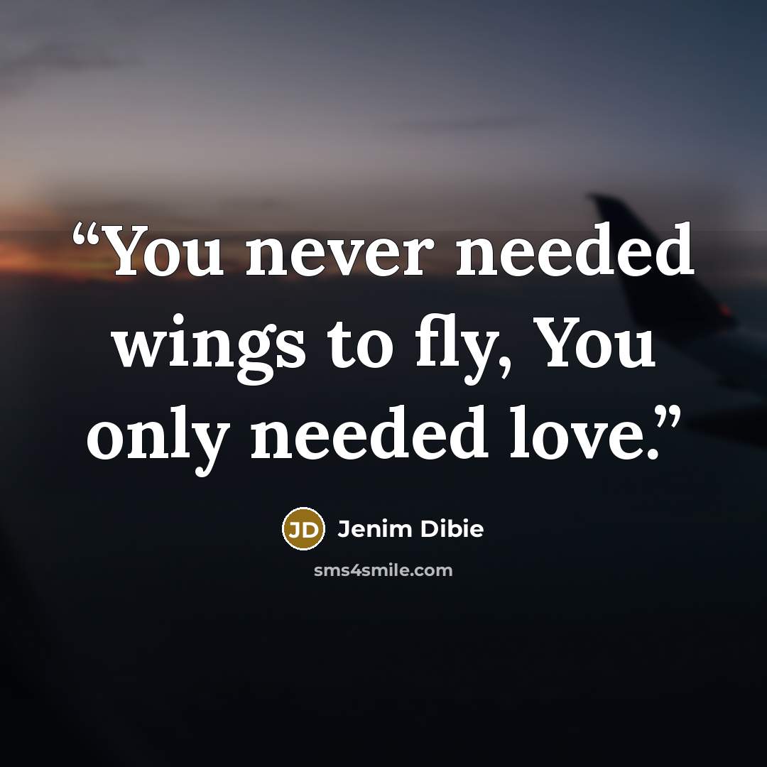 “You never needed wings to fly, You only needed love.” quote by Jenim Dibie