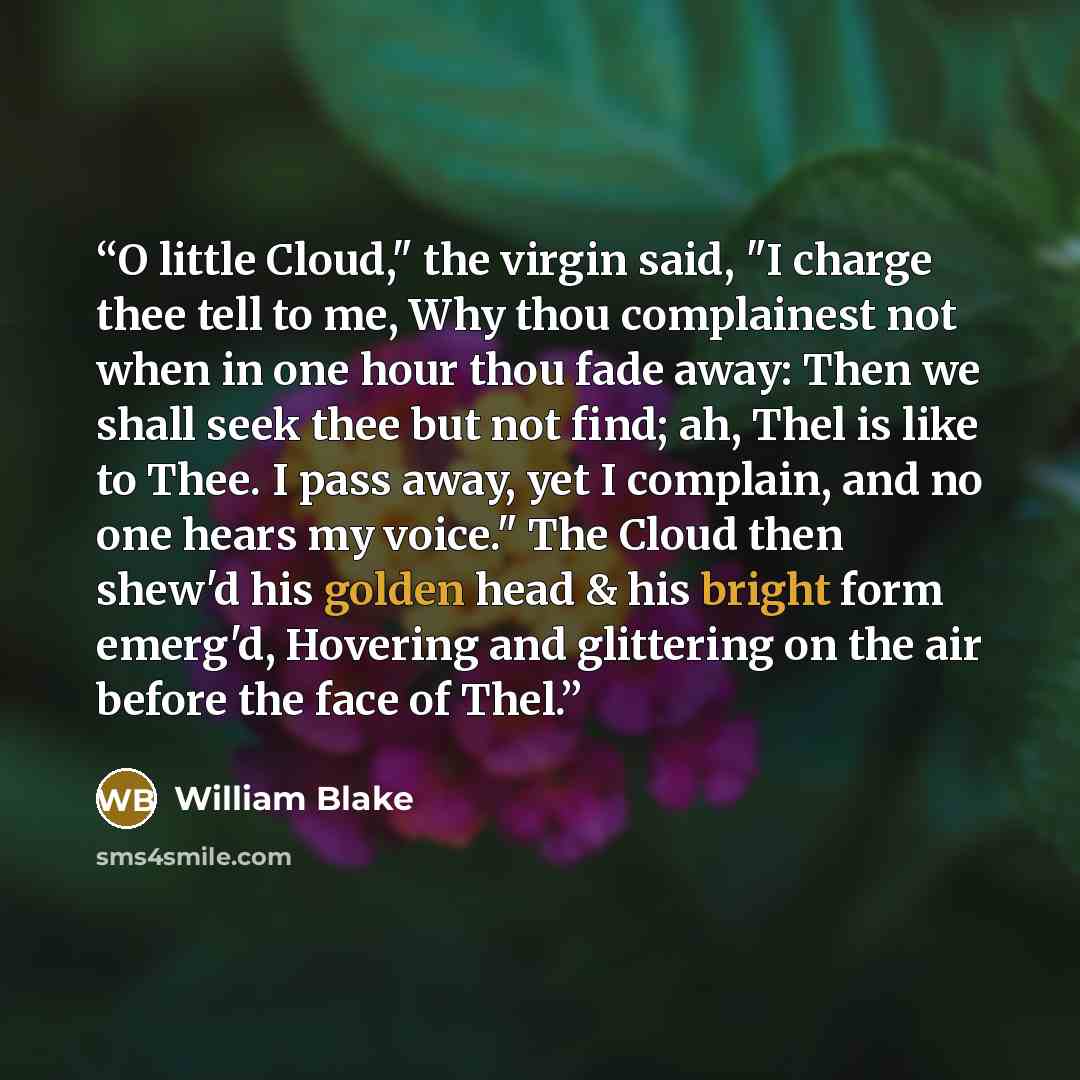 “O little Cloud," the virgin said, "I charge thee tell to me, Why thou complainest not when in one hour thou fade away: Then we shall seek thee but not find; ah, Thel is like to Thee. I pass away, yet I complain, and no one hears my voice." The Cloud then shew'd his golden head & his bright form…” quote by William Blake