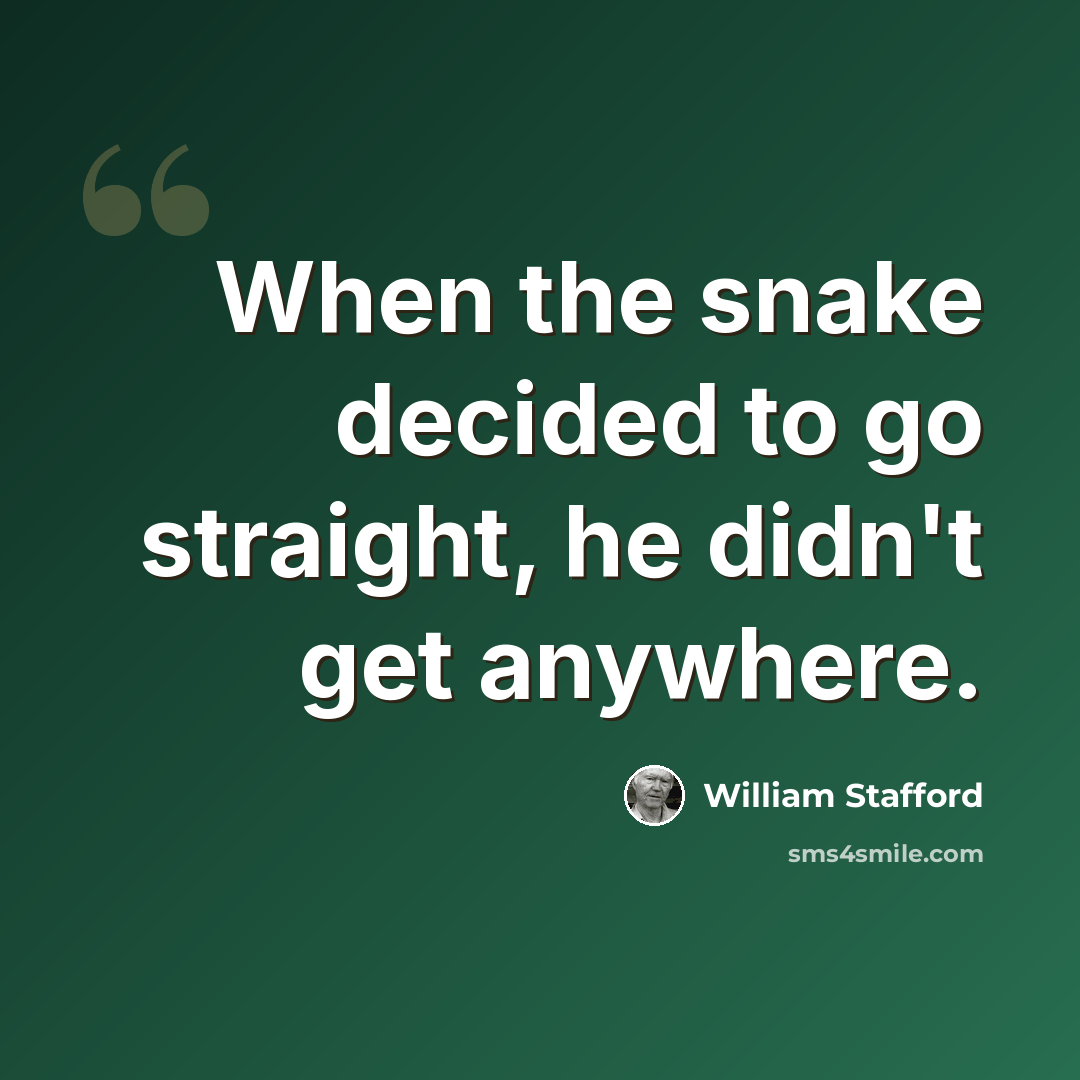 “When the snake decided to go straight, he didn't get anywhere.” quote by William Stafford