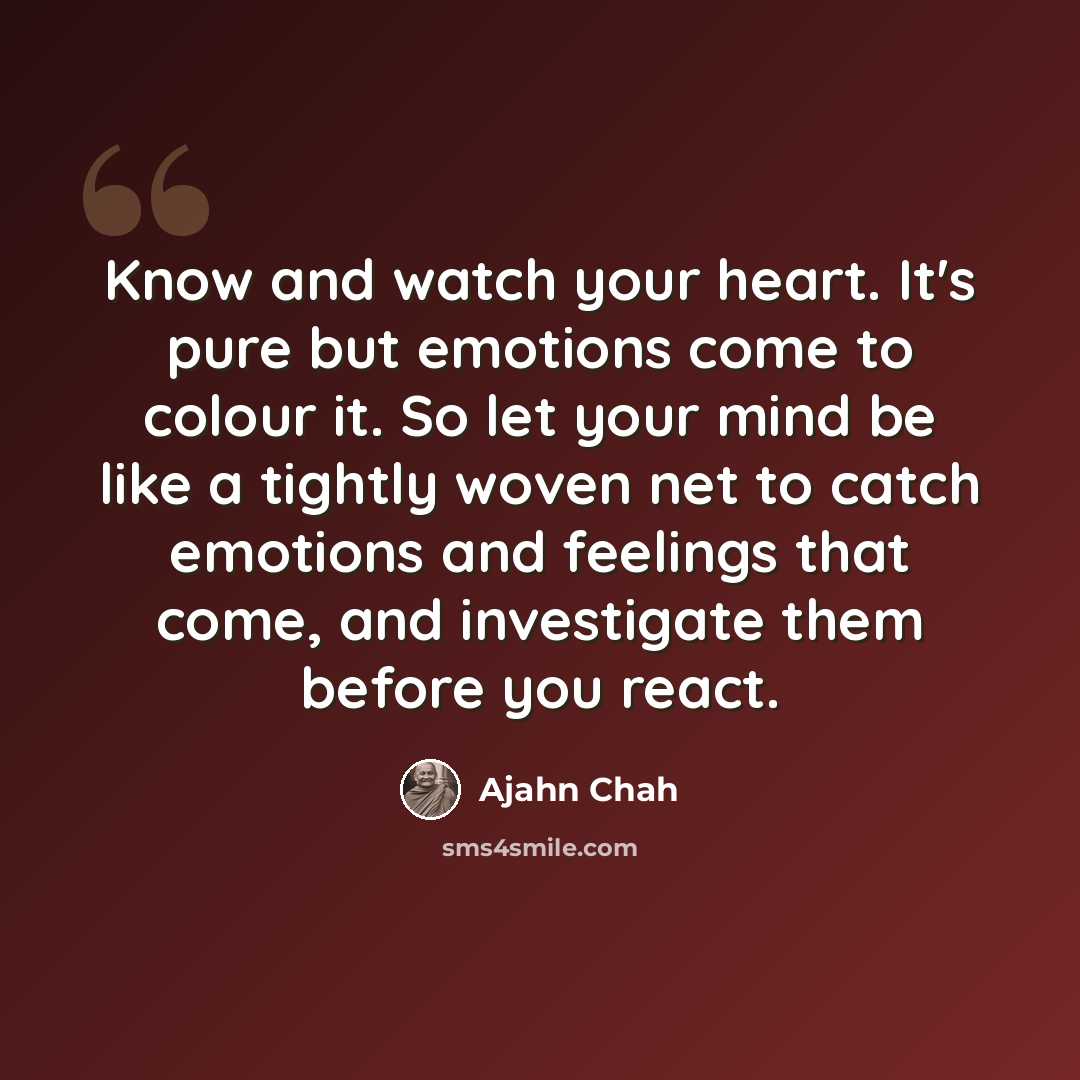 “Know and watch your heart. It's pure but emotions come to colour it. So let your mind be like a tightly woven net to catch emotions and feelings that come, and investigate them before you react.” quote by Ajahn Chah