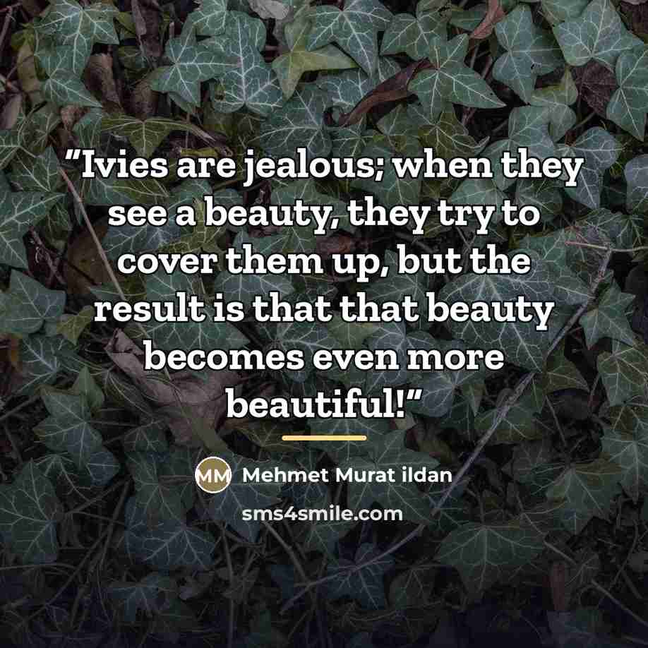 “Ivies are jealous; when they see a beauty, they try to cover them up, but the result is that that beauty becomes even more beautiful!” quote by Mehmet Murat ildan