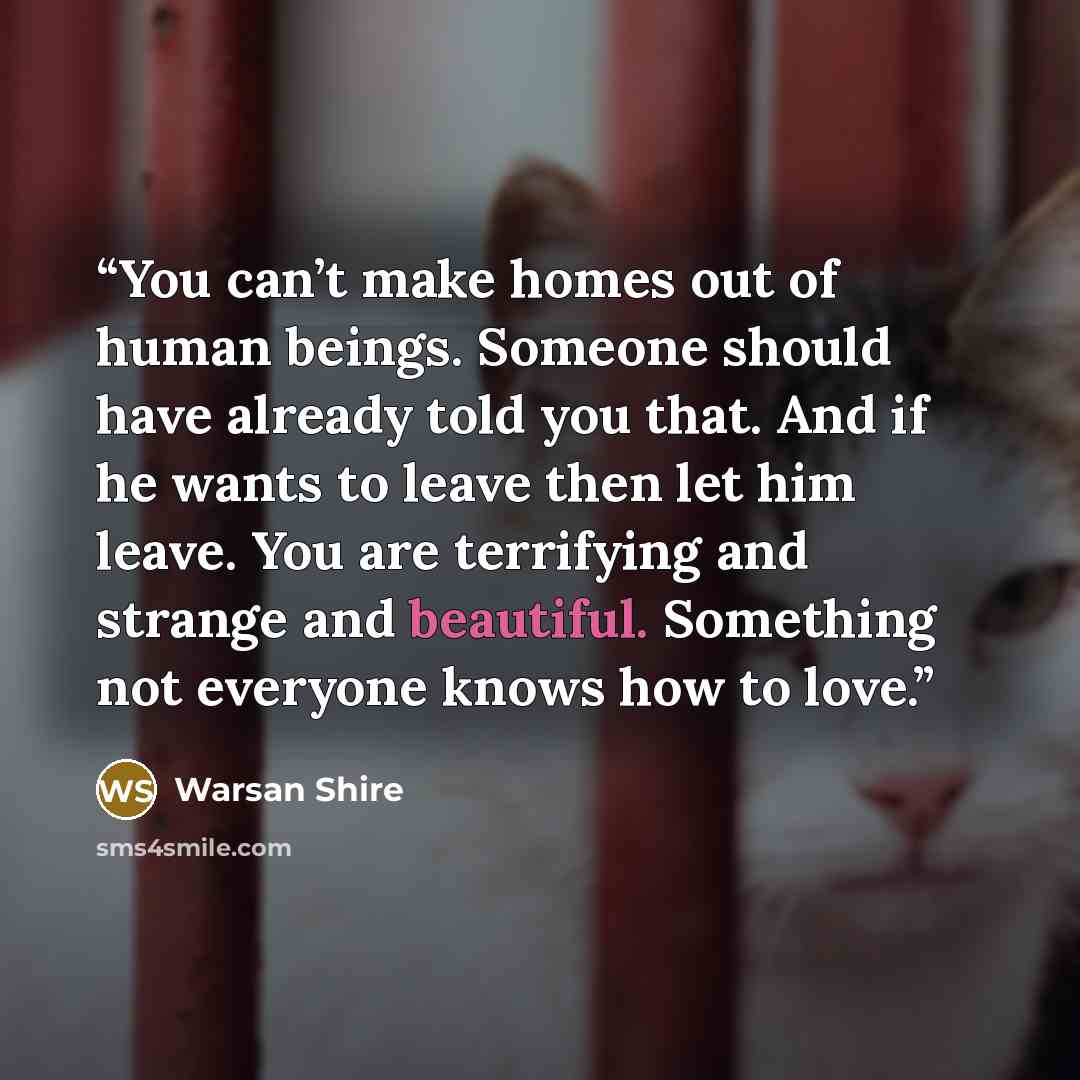 “You can’t make homes out of human beings. Someone should have already told you that. And if he wants to leave then let him leave. You are terrifying and strange and beautiful. Something not everyone knows how to love.” quote by Warsan Shire